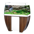 Aquarien