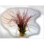 Preview: Kunststoffpflanze Gras Hair grass rot 39 cm hoch mit Kies Sockel