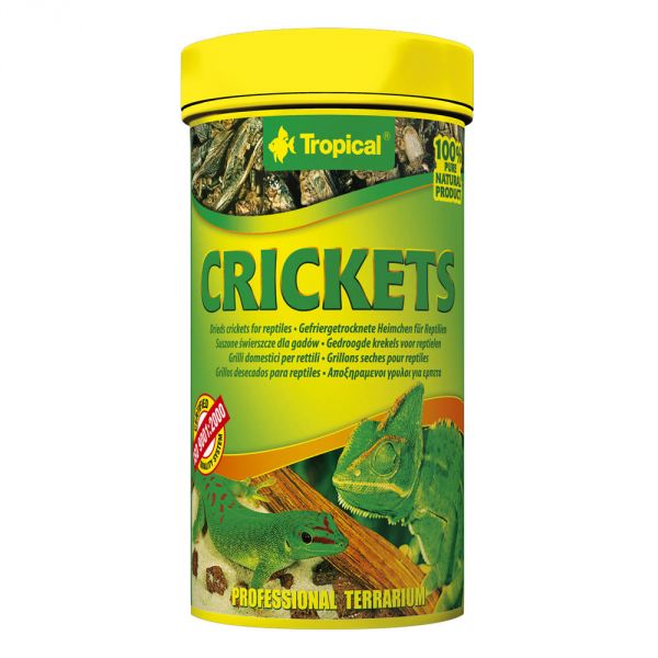 Tropical Crickets Getrocknete Heimchen 25g (250ml Dose)